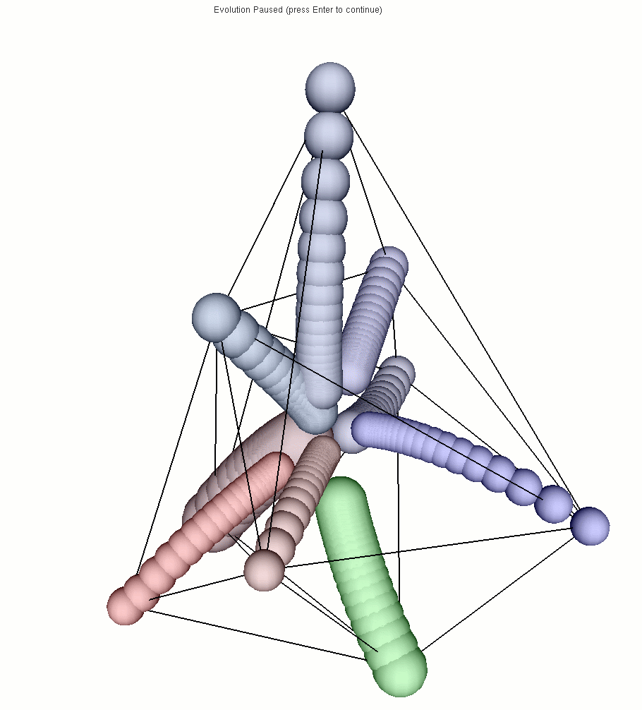 cells attracted by a spring force. The neighborhood is computed dynamically using the computation of a Delaunay graph.